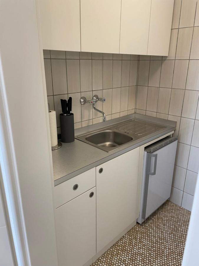 Sophie Superior Apartment Καρλσρούη Εξωτερικό φωτογραφία